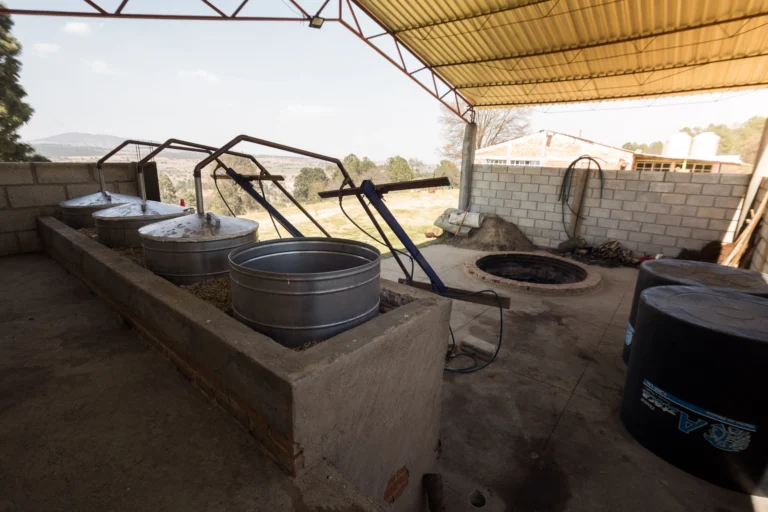 xoletongo menu 22 (copia 1)